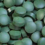 Chlorella