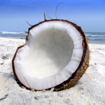 Coconut