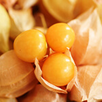 Ground Cherries