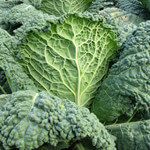Kale: One of the World’s Most Nutritious Vegetables