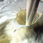 Milk