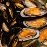 Mussels