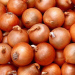 Onions: Quercetin-Rich Bulbs That Treat Many Diseases