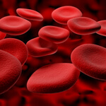 Red Blood Cells