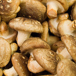 Shiitake Mushrooms