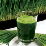 Wheatgrass