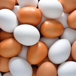 Eggs: Perfect Sources of Protein and Choline